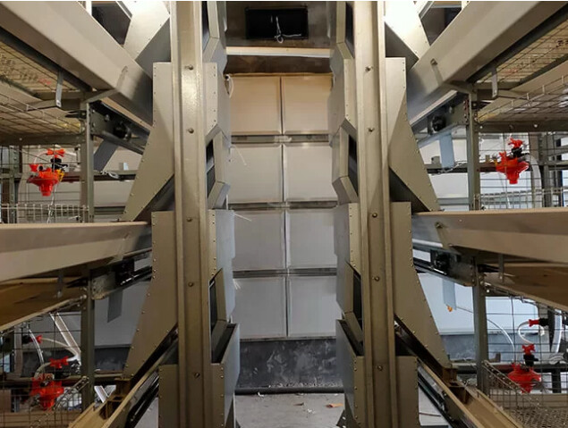 New type of automatic h-type broiler cage can significantly reduce manual labour management and lower operational costs