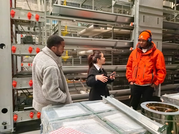 Nigeria-China factory supplying poultry farm equipment and poultry battery cage