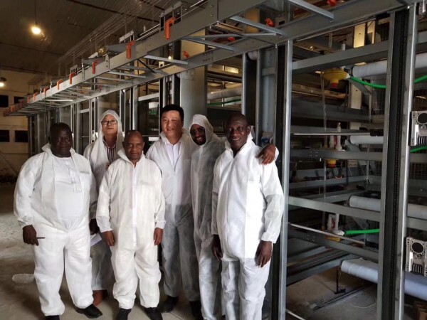 Nigeria-China factory supplying poultry farm equipment and poultry battery cage