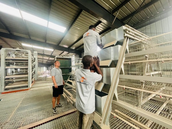 Nigeria-China factory supplying poultry farm equipment and poultry battery cage