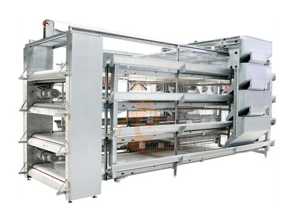 Pullet chicken cage, >30,000 pullets/house, automatic H type pullet chicken cage, manual harvesting