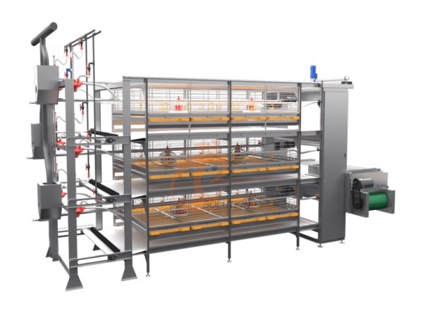 Broiler chicken cage, >30,000 broilers/house, semi-automatic belt broiler harvesting, automatic H type broiler chicken cage