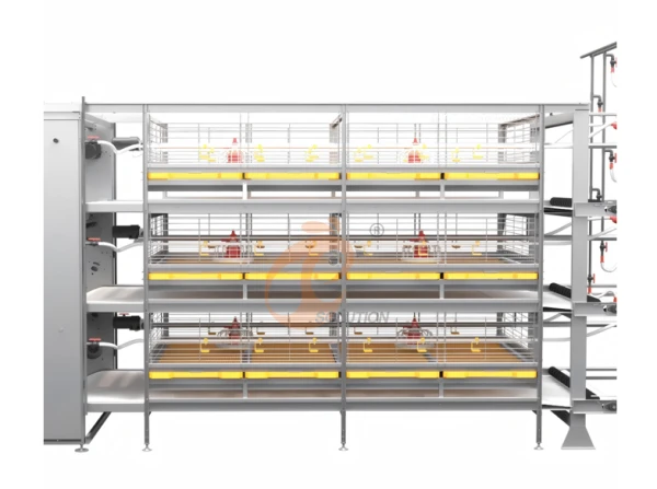 Broiler chicken cage, >30,000 broilers/house, semi-automatic belt broiler harvesting, automatic H type broiler chicken cage