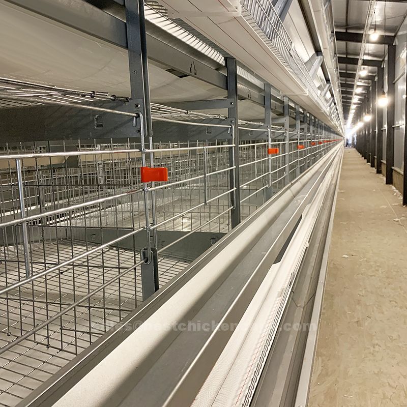 Latest design of the vanke enterprises layer cages with automated feeding watering and egg collection system