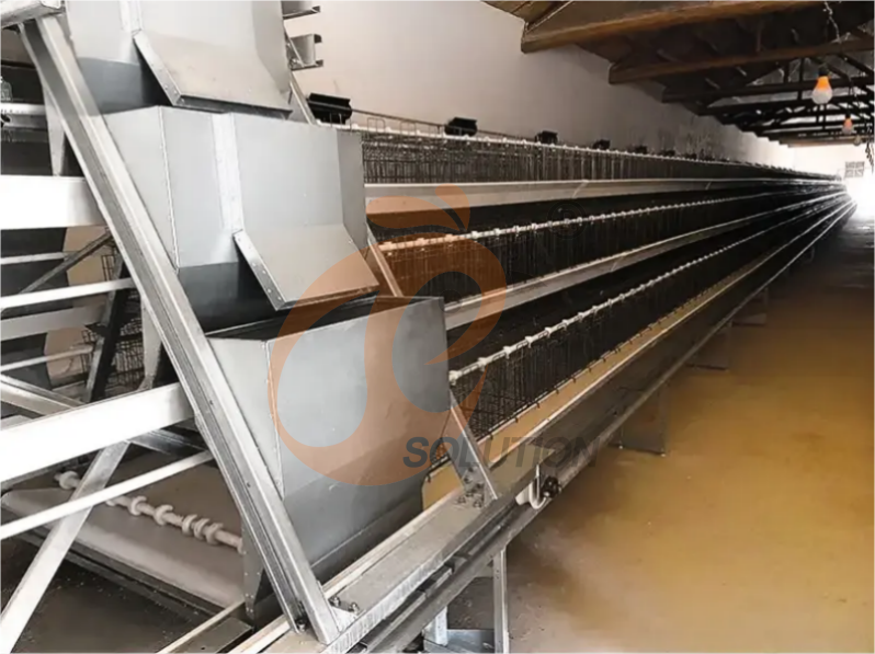 Automatic feeding system for poultry cage, smart poultry feeder automated nutrition management system