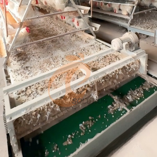 manure cleaning belt system (1)