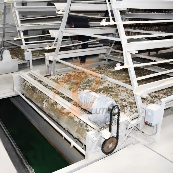 poultry farm manure equipment