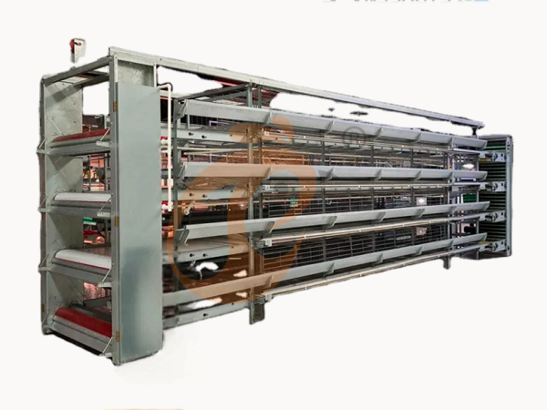 Key Factors To Consider When Choosing Battery Cages For Large-Scale Poultry Farms