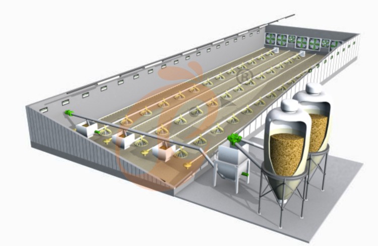 deep litter system (17) deep litter system (17)