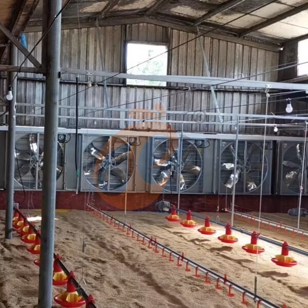 deep litter system 1 (6) deep litter system 1 (6)