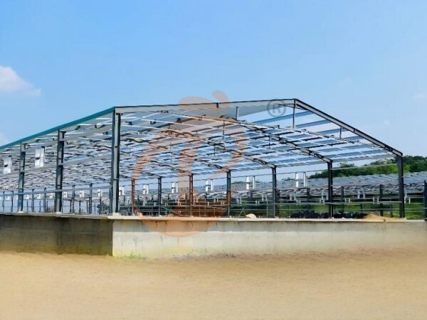 Prefab steel poultry house (1)