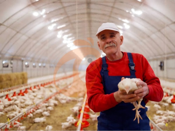 deep litter system 1 (8) deep litter system 1 (8)