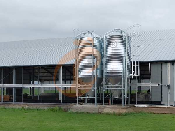 Broiler Cage Farming: A One-Stop Solution For All Your Problems.