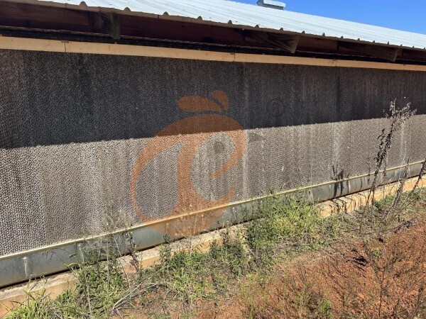 poultry farm (7) poultry farm (7)