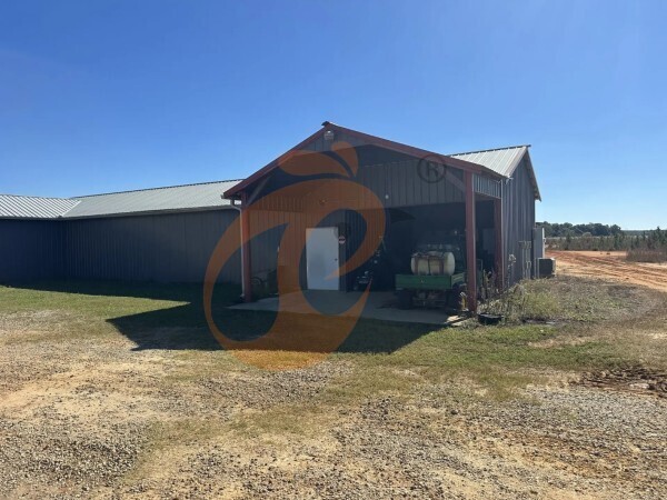 poultry farm (8) poultry farm (8)