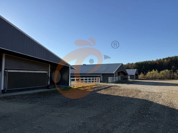 broiler poultry farm 2