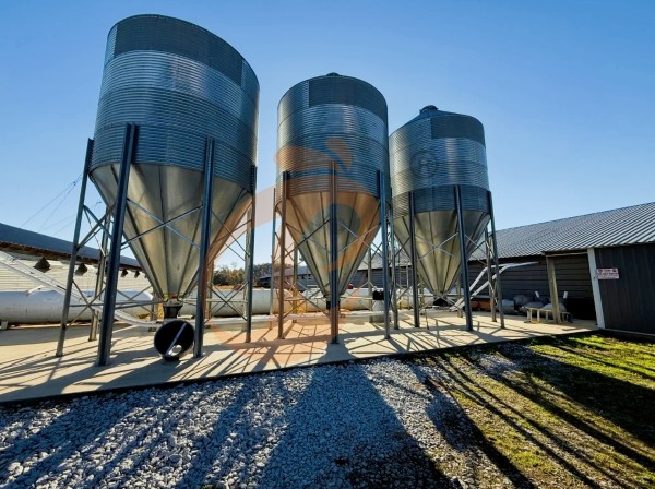 broiler poultry farm 4