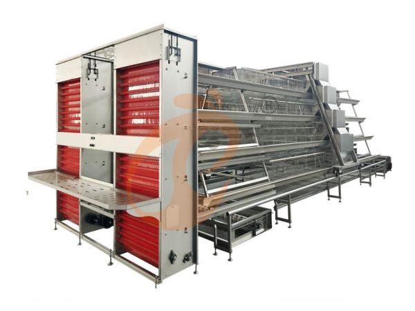 Commercial Battery Cage For Layers Vs Small Farm Cage | Which Should You Choose?