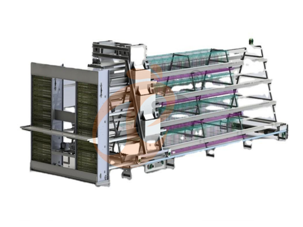 What Is The Export Price Of Poultry Cage System? 5 International Cost Factors