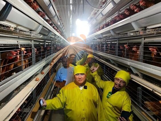 High-Tech Vs Traditional Poultry Equipment | Which Improves Productivity?
