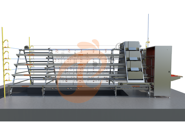 Battery Cage System In Nigeria: Benefits, Costs & Local Success Stories