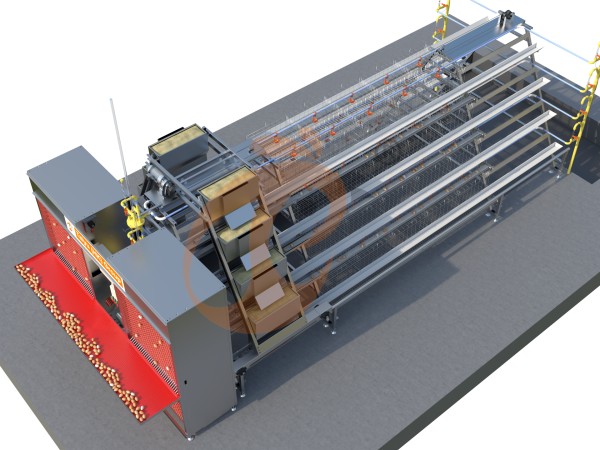 A type automatic layer battery cage (5)