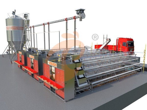 10,000 - 30,000 Layers A type Automatic Battery Cage