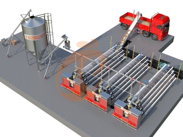  Standard Poultry Cage Dimensions And Capacity Guide For Nigeria Farms