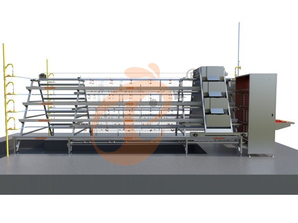 10,000 - 30,000 Layers A type Automatic Battery Cage