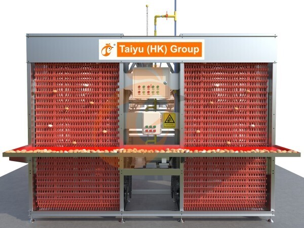 10,000 - 30,000 Layers A type Automatic Battery Cage