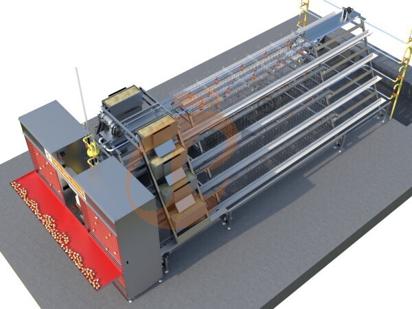 10,000 - 30,000 Layers A type Automatic Battery Cage