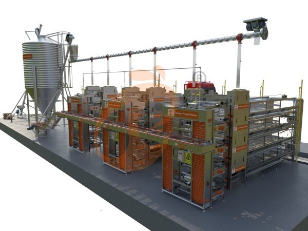 >30,000 Layers H Type Automatic Battery Cage