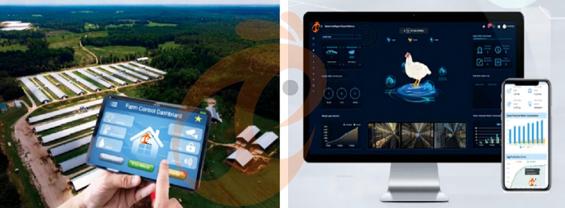 1747646145783018447306575872