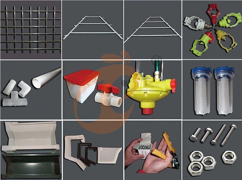 layer chicken cage (1).png