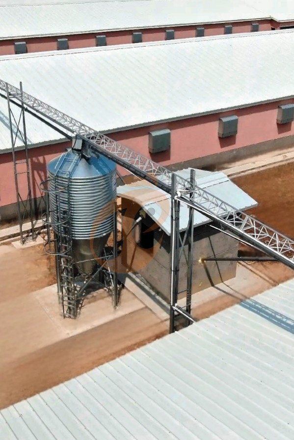 broiler battery cage system with harvest (10)