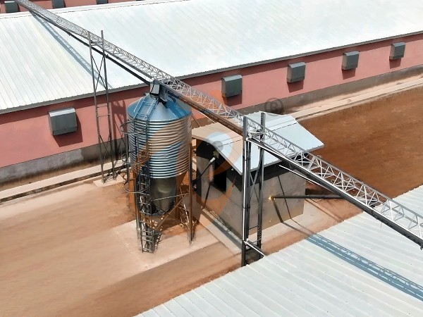 broiler battery cage (24)