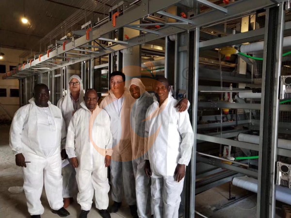 China Branch Offer Poultry Farm Business Plan, Manufacture Poultry Farm Equipment