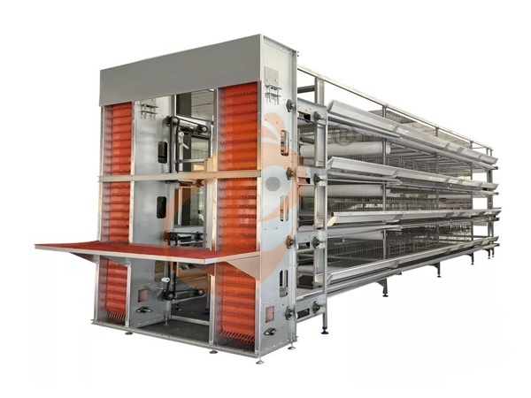 China Branch Offer Poultry Farm Business Plan, Manufacture Poultry Farm Equipment