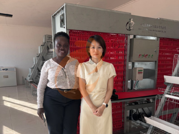 Ethiopia Branch Offer Poultry Farm Business Plan, Manufacture Poultry Farm Equipment