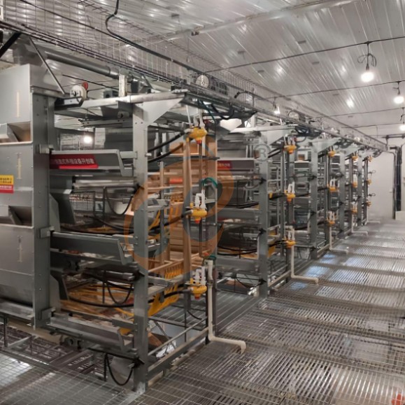 brooder battery cage system (3)