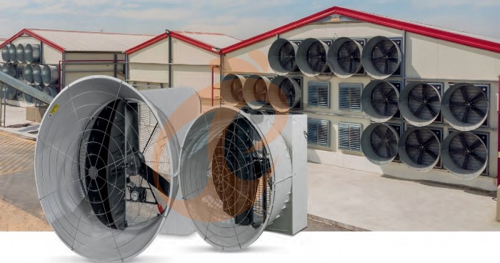 What Are the Top 5 Maintenance Mistakes That Kill Poultry Equipment Lifespan (And How to Avoid Them)?