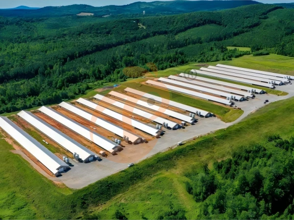 Modern Poultry House