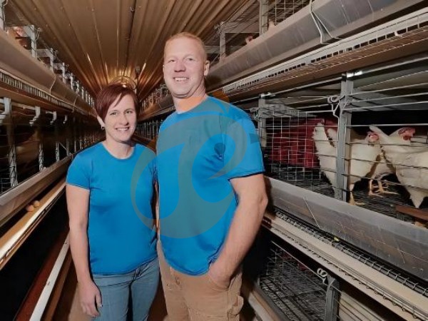 H A chicken battery cage for layers in poultry farm (53)