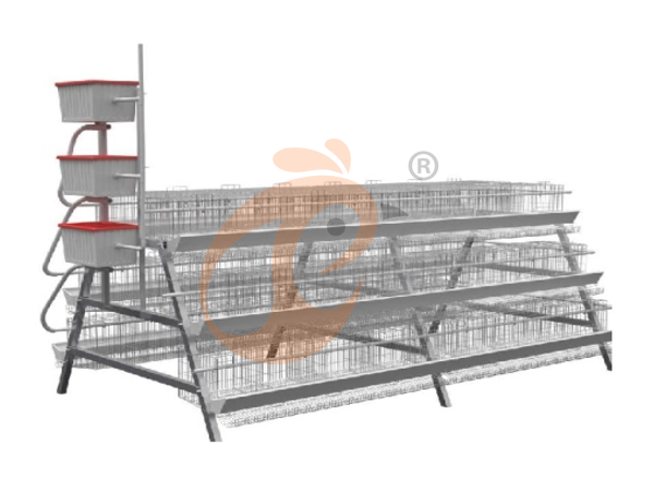 What Is The Export Price Of Ethiopian Poultry Cage System? 5 International Cost Factors