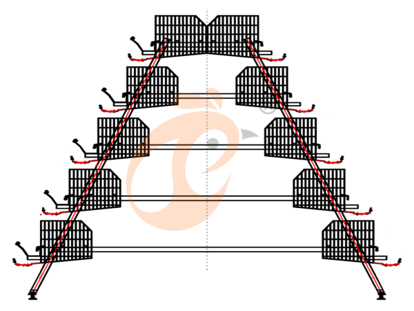Why Ethiopian Poultry Cage Prices Vary So Much? 5 Hidden Cost Reasons
