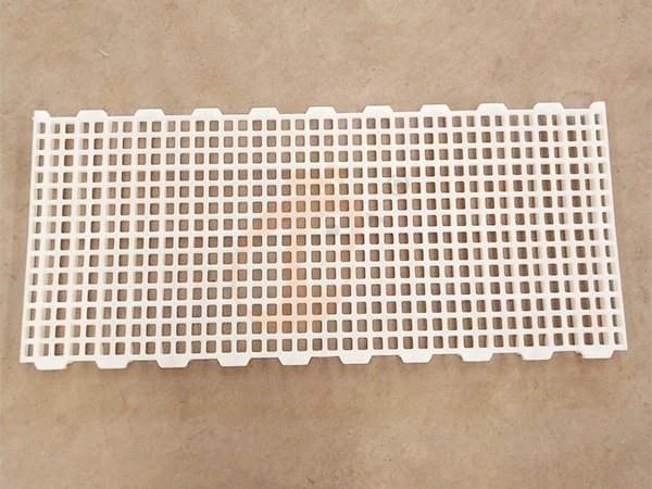 Battery Cage For Layers Vs Floor System | Which Is More Profitable For Egg Farms?
