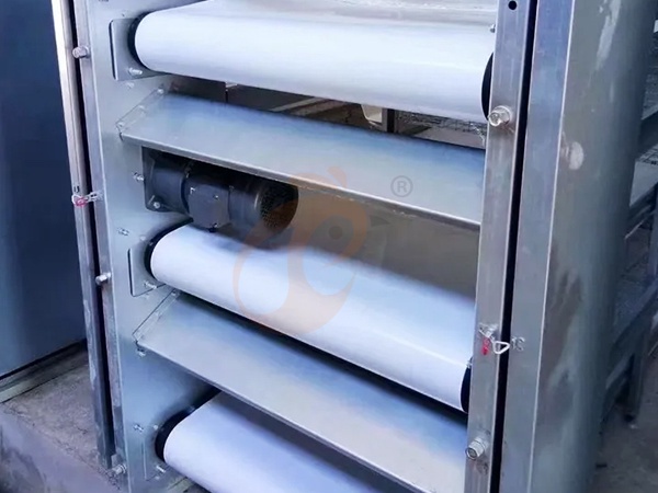 Chicken Coop Cleaning Equipment Price Check: Top Type & Cost Analysis