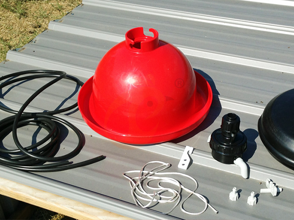 Large Vs Small Pralson Feeders | Which Saves More Feed?