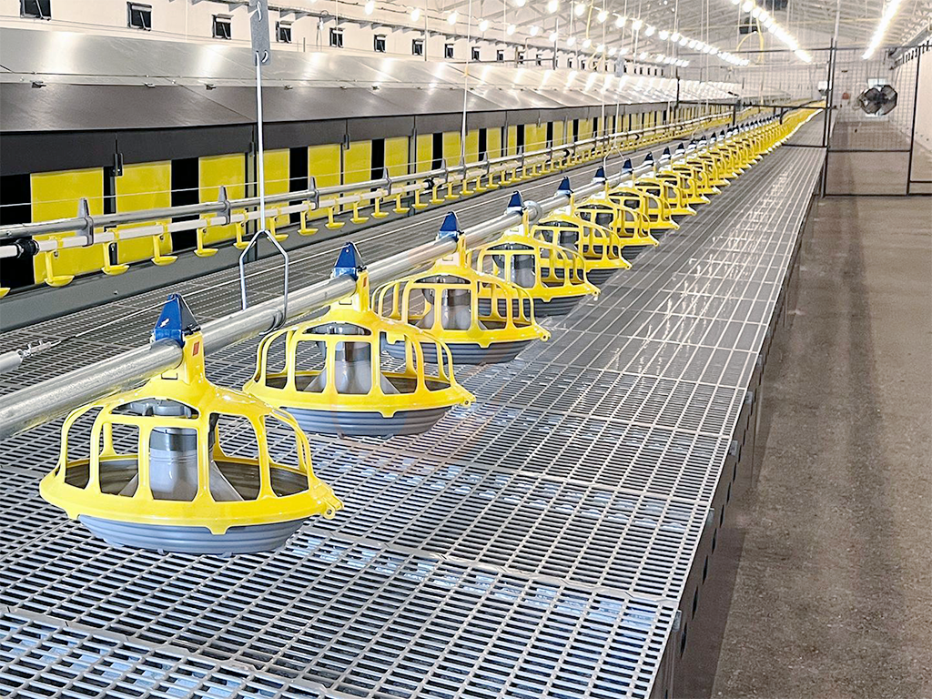 Floor Rearing Poultry System Price List | What Affects The Final Cost?