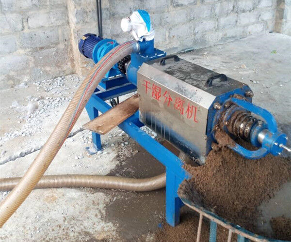 Recycling chicken manure with manure dryer machine